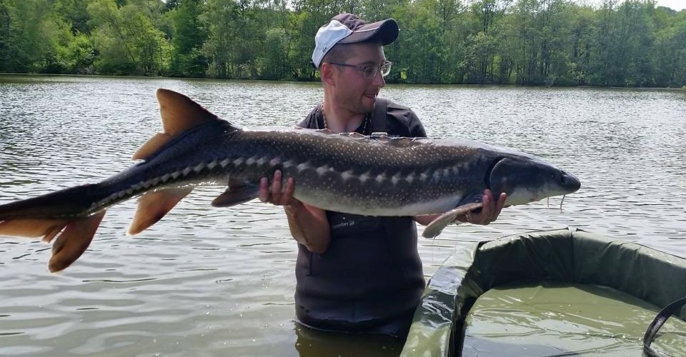 poisson pris au moi de mai 2015