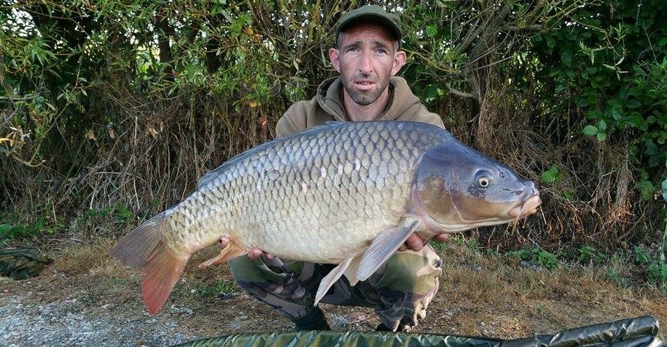 du 12 au 16 aout 2015