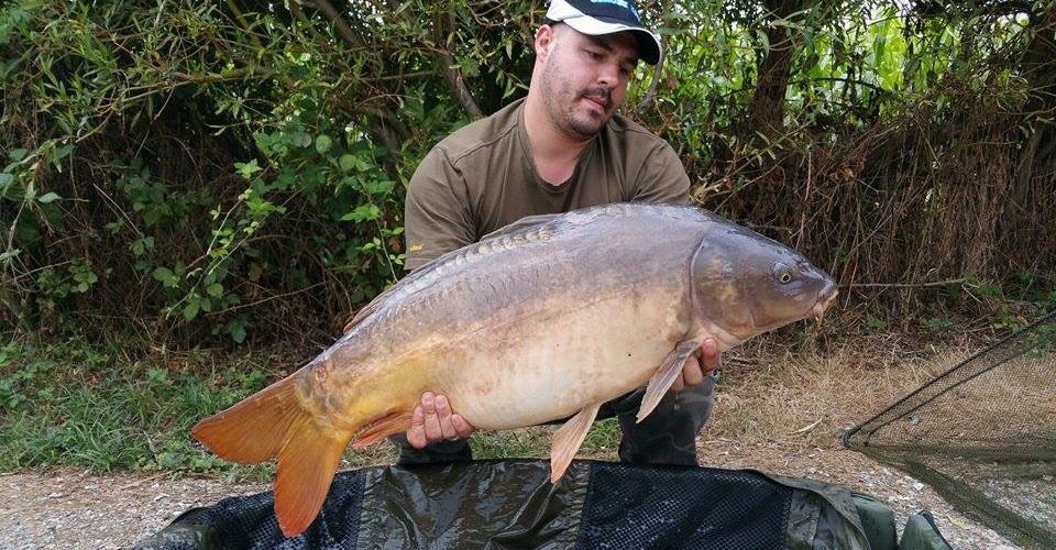 du 12 au 16 aout 2015