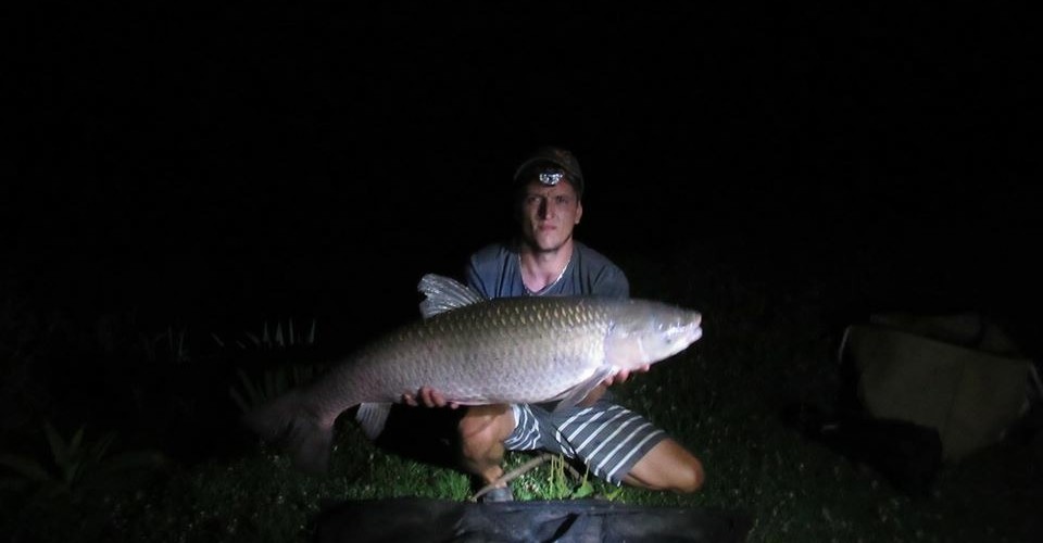 du 12 au 16 aout 2015