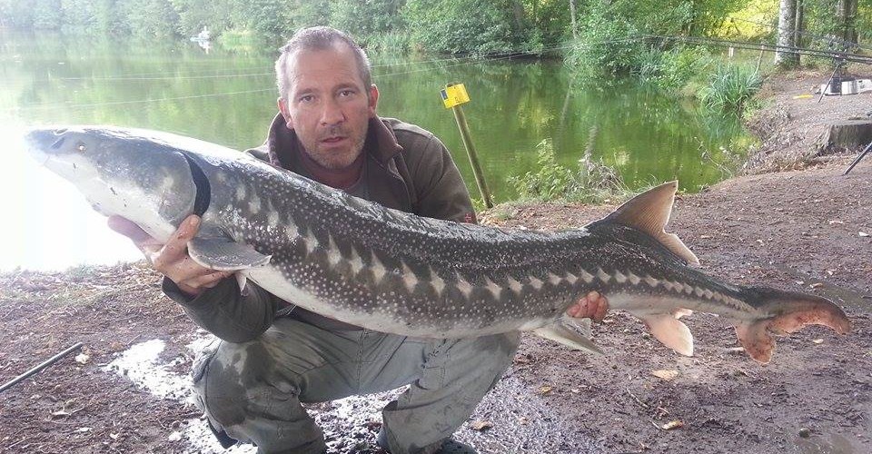 du 25 au 27 aout 2015