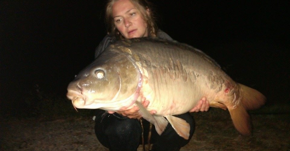 du 9 au 11 septembre 2015