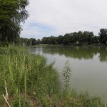 Le grand étang des Caillaux