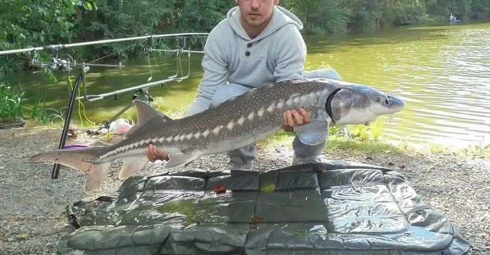 du 22 au 23 aout 2015