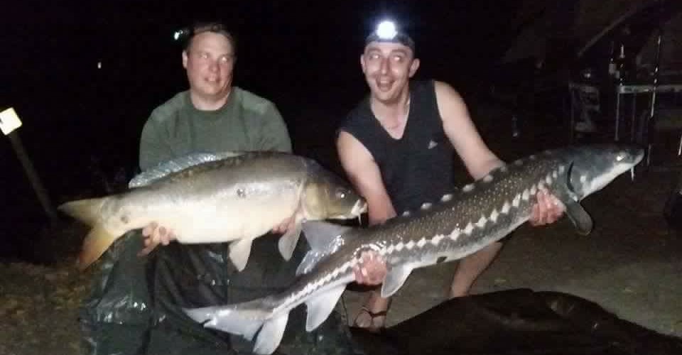 du 22 au 23 aout 2015